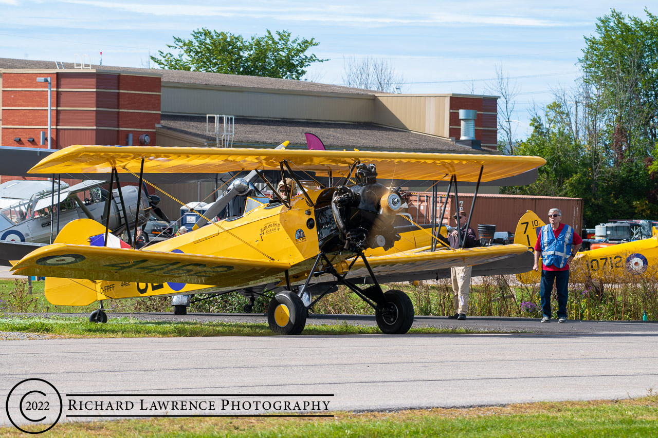 Fleet Finch