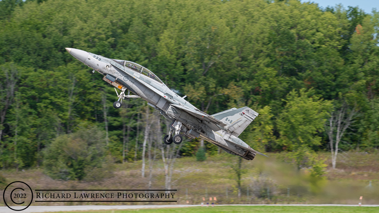 CF-118 Hornet