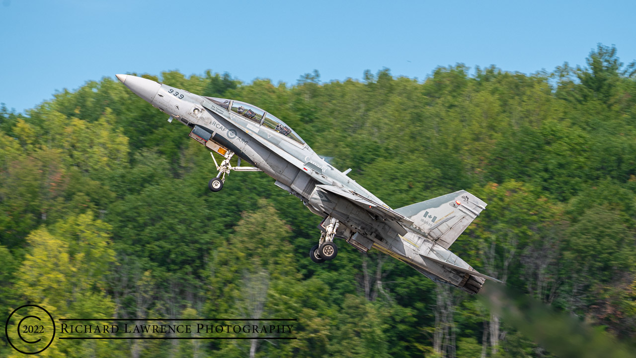 CF-118 Hornet