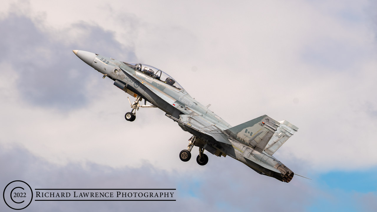 CF-118 Hornet