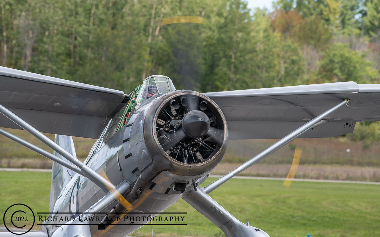 Westland Lysander IIIA