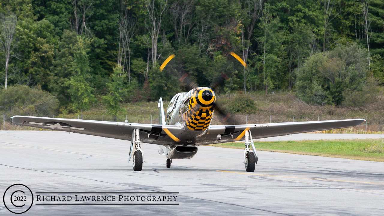 P-51 Mustang - Little Witch