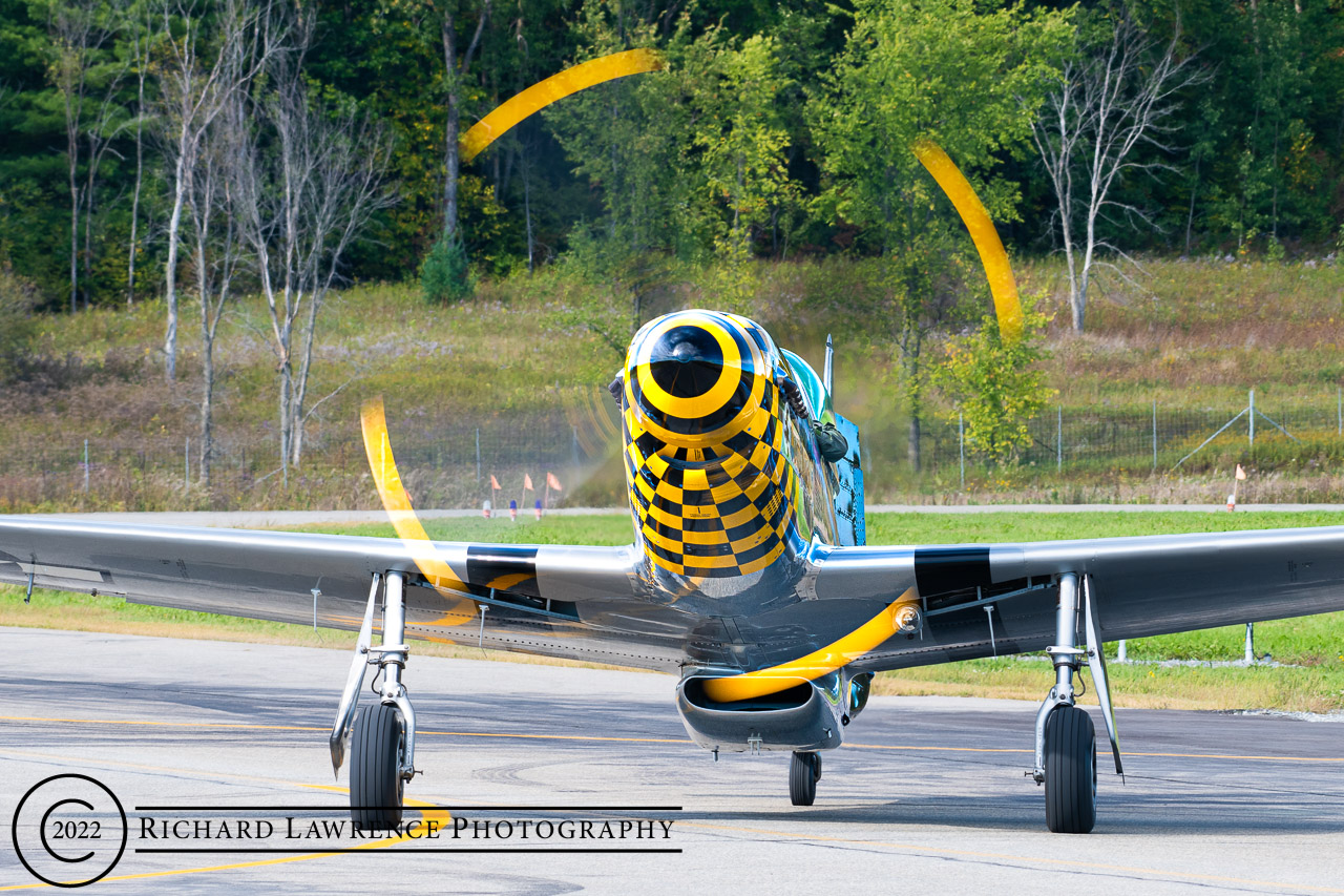 P-51 Mustang - Little Witch