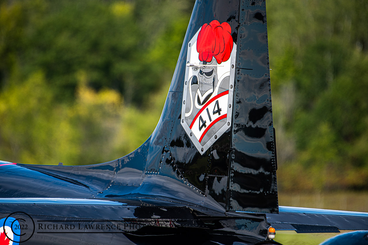 T-33 Silver Star - Black Knight