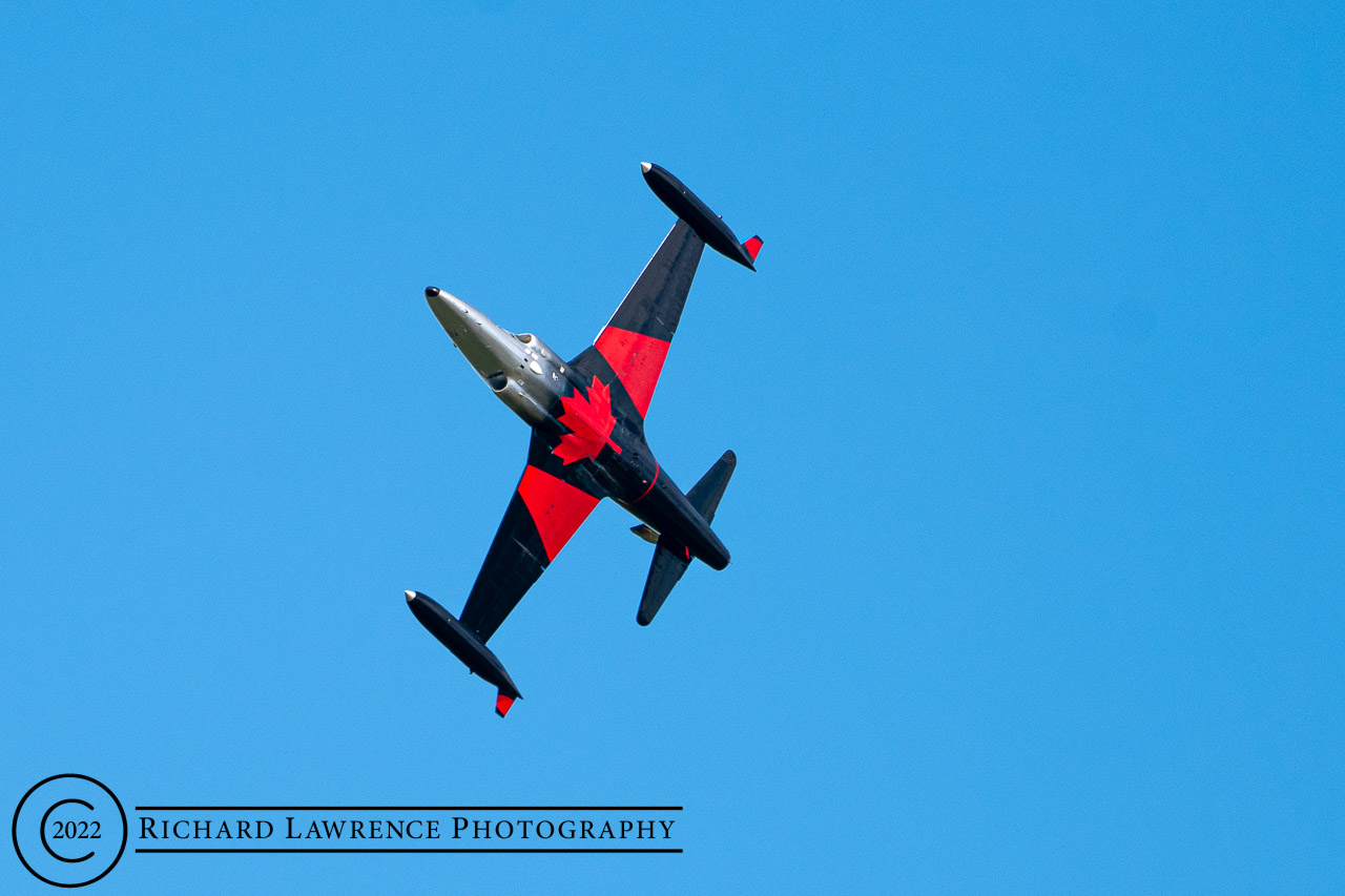 T-33 Silver Star - Black Knight